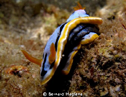parting shot from my Saranngani trip - day one! by Bernard Maglana 